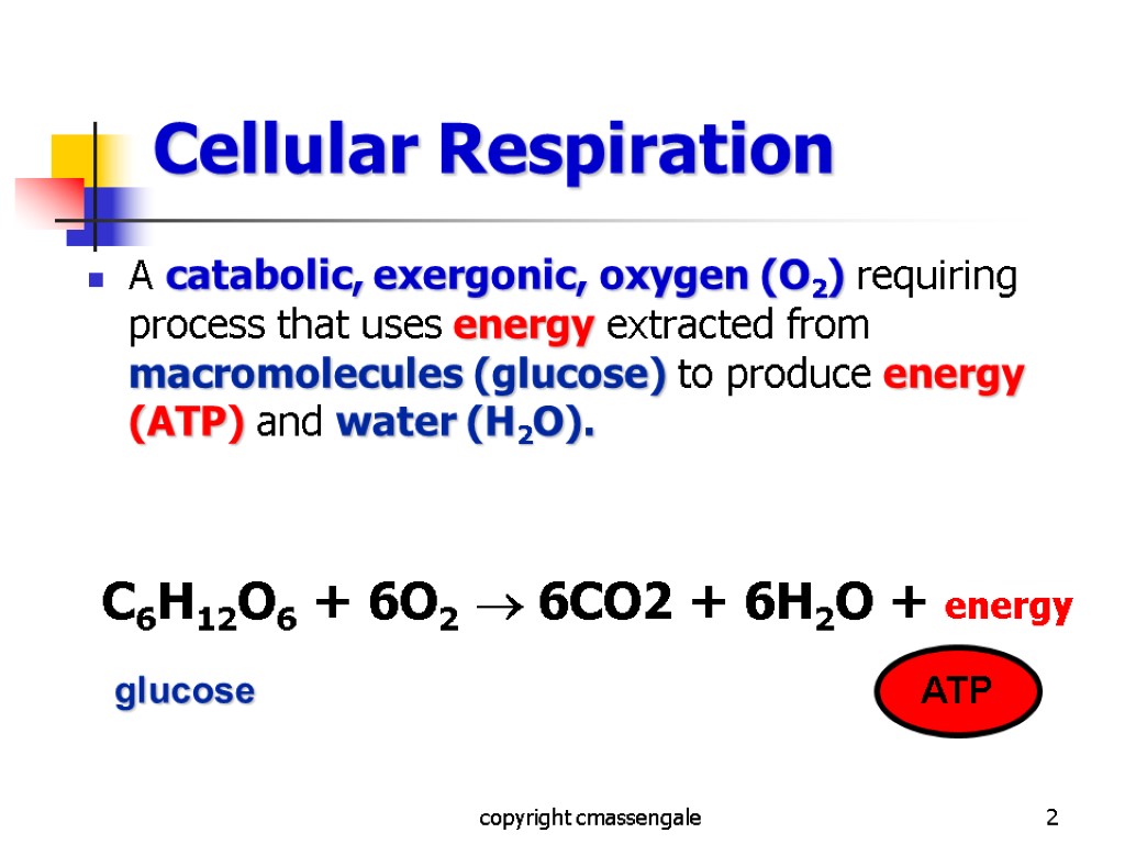 2 Cellular Respiration A catabolic, exergonic, oxygen (O2) requiring process that uses energy extracted